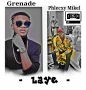 Grenada fit phlecxy Mikel