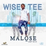 WiseTee