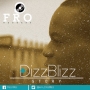 DizzBlizz