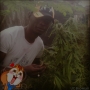 mercifull247