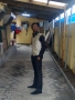 mrkennedy
