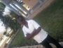 umsel