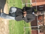 tobwizzy