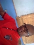 nybensteve