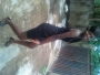 swithush