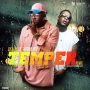 Temper (Remix) by Skales ft Burna Boy