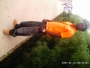 jam_d