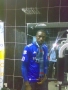 dreniz