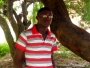 yusad
