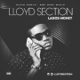 Lloyd Section