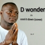 D Wonder