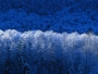 oyeposi