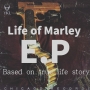 marleybouy2