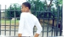ifyz