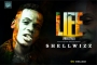 Shellwizz