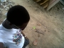 kingsleydodo