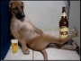 NOLIS