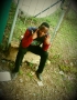 Dolly_piztle